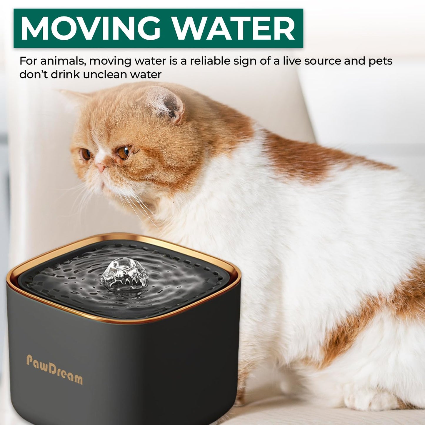 PawDream 3L Smart Pet Water Fountain